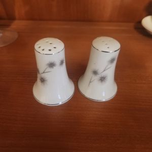 Salt and pepper shakers